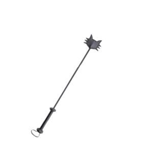 LÁTIGO PUNTERO GATICO