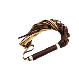 LÁTIGO SADO ECONÓMICO