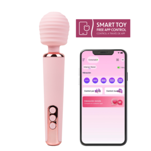 VIB HITACHI WAND APP